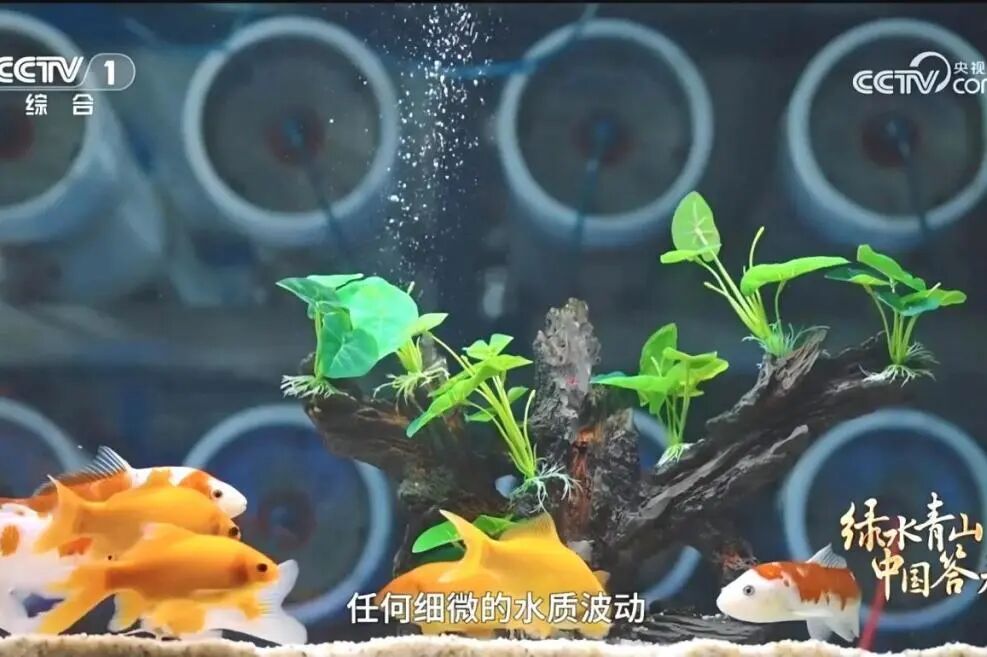 1758759037602116.jpg 2.jpg